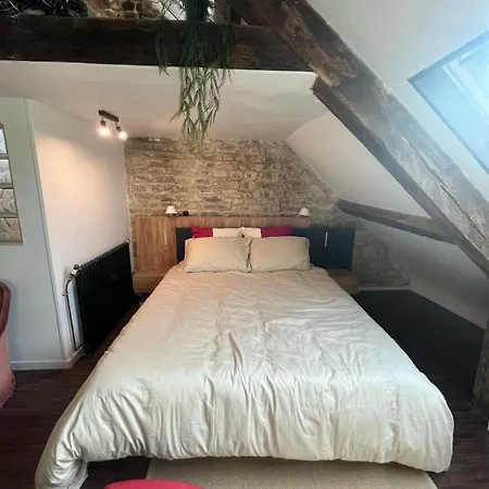 Appartement Duplex T2 Confort 18eme Coeur De Avec Vayny